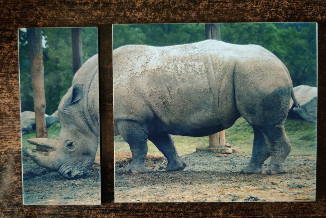 Personalised Jigsaw Puzzle