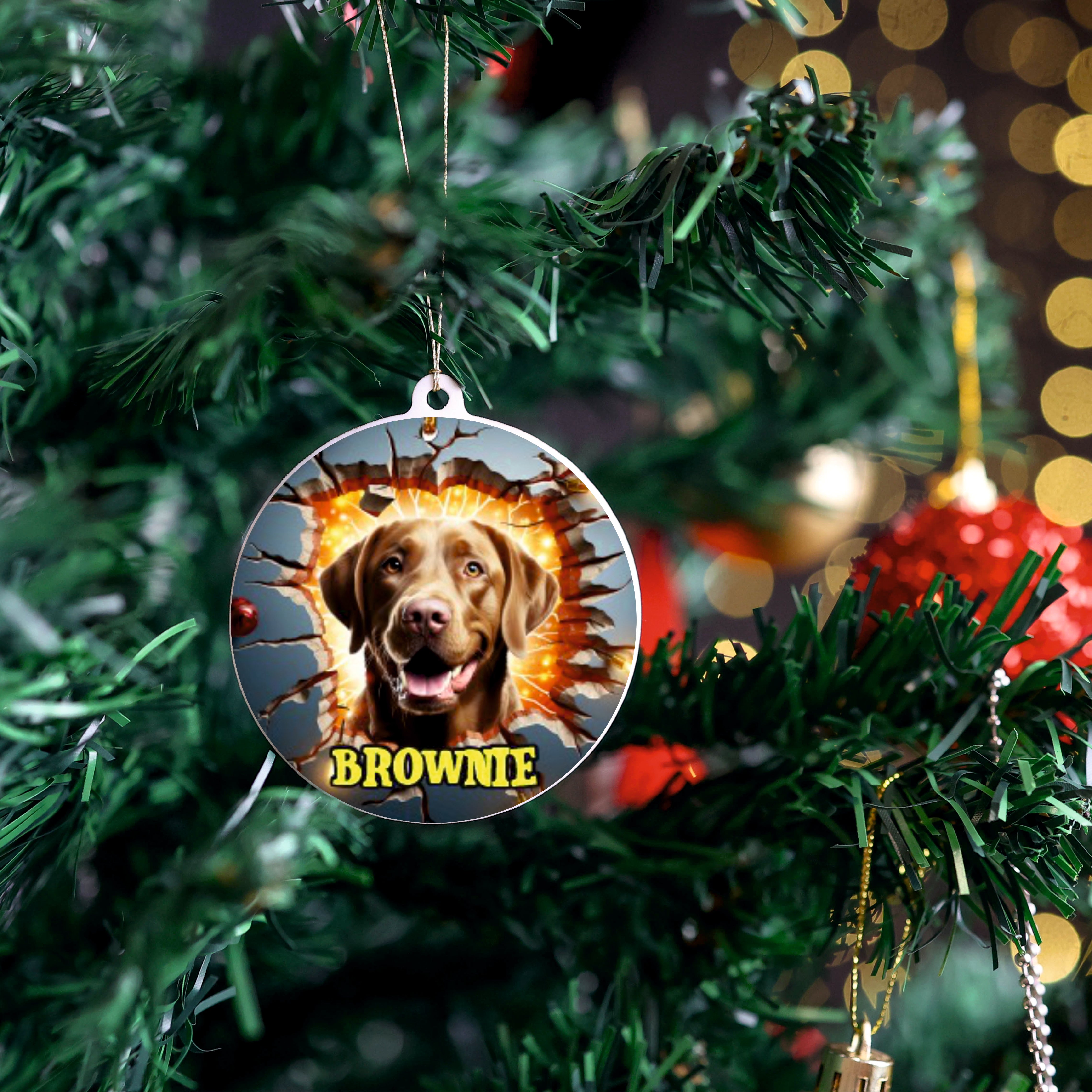 Personalised Pet Christmas Ornaments